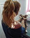 Pet grooming by anna  (6).jpg